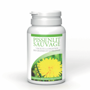 Pissenlit Sauvage x1