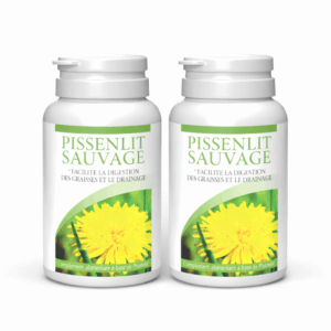 Pissenlit Sauvage x2