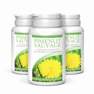 Pissenlit Sauvage x3