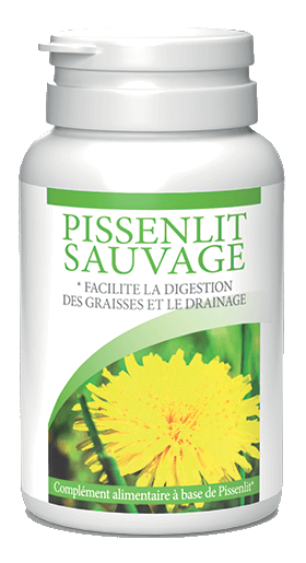 Pissenlit Sauvage